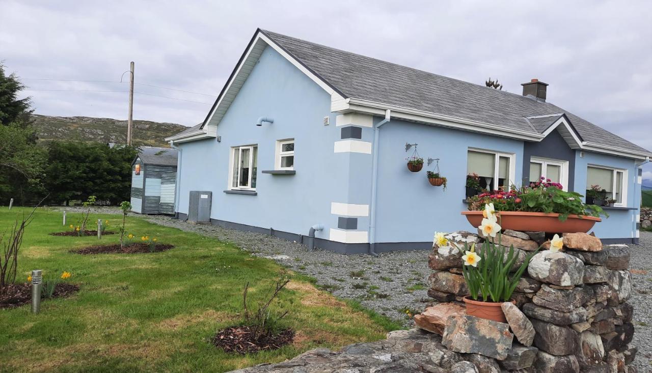 Clifden Wildflower Cottage - Clifden Countryside Lettings Extérieur photo