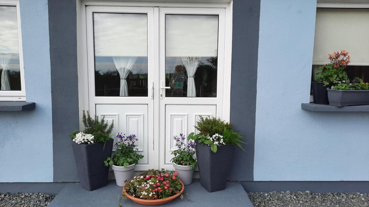 Clifden Wildflower Cottage - Clifden Countryside Lettings Extérieur photo