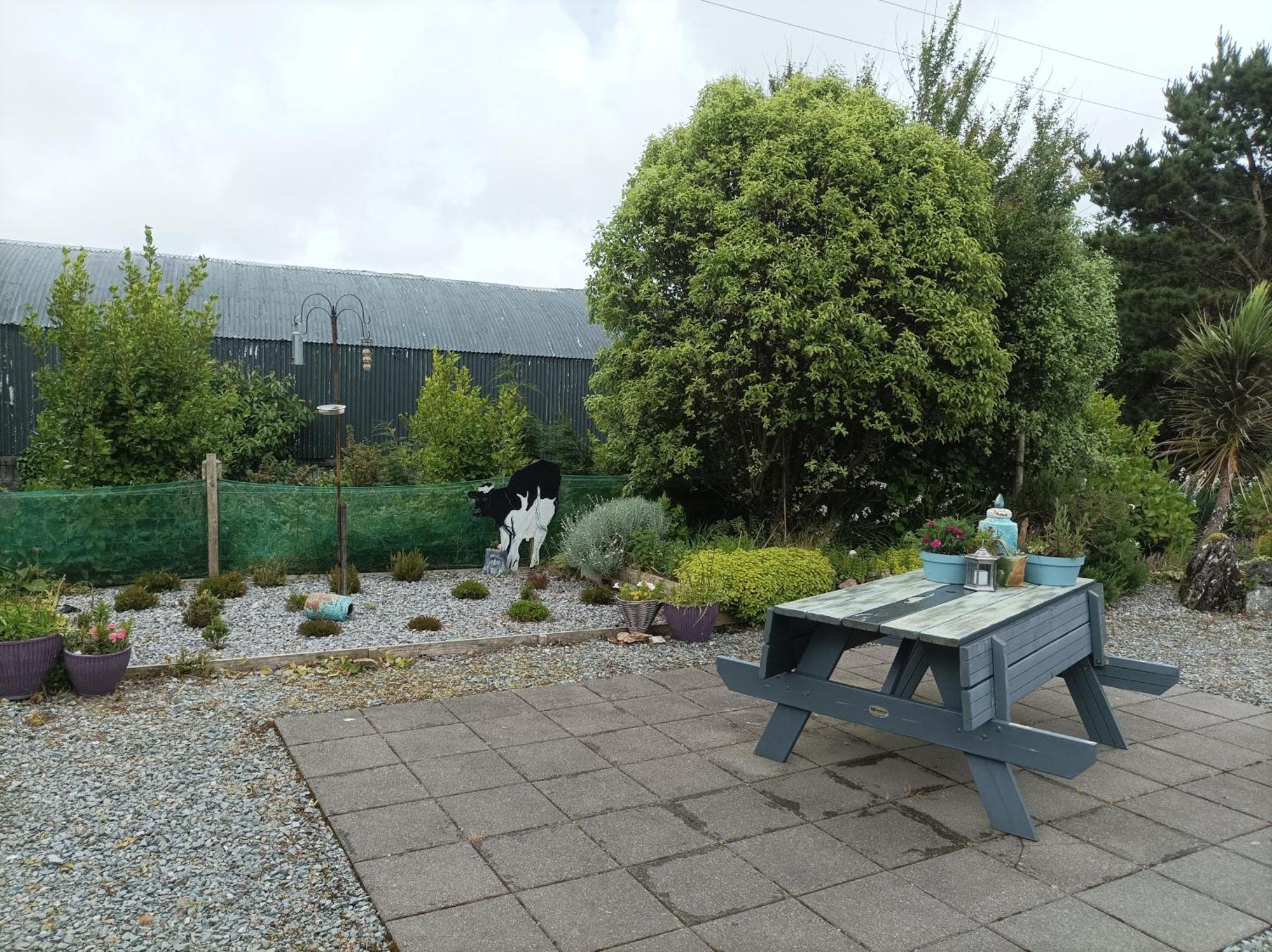 Clifden Wildflower Cottage - Clifden Countryside Lettings Extérieur photo